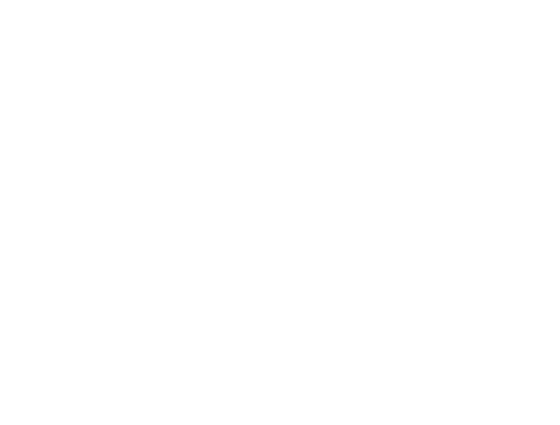 Dolchem Logo